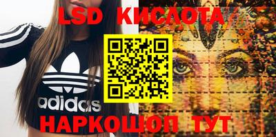 прущие грибы Павлово
