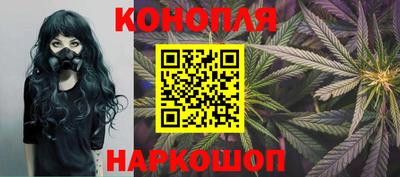прущие грибы Павлово