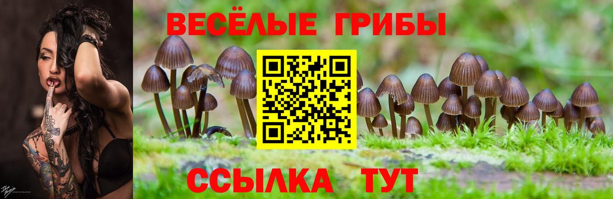 Марихуана  Гашиш  Вход с VPN  APVP СК   Меф кристаллы  Богородицк  ГАШИШ 
